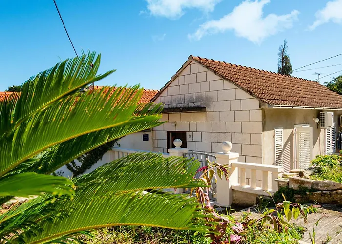 1 Bedroom In