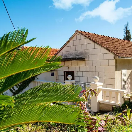 1 Bedroom In